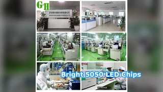 5050 LED Chips 0.24W Bright Long Lasting 1000 Pack